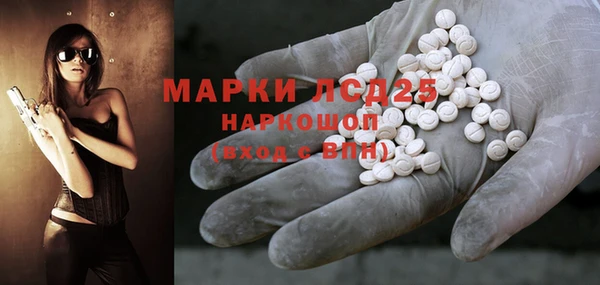 гашик Новодвинск