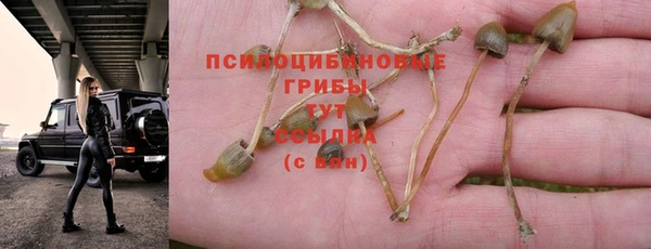 кокаин перу Новозыбков