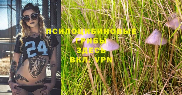 дурь Новокубанск