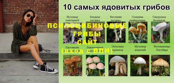 мяу мяу мука Нефтегорск