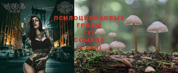мяу мяу мука Нефтегорск