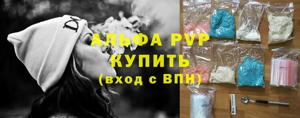 гашик Новодвинск