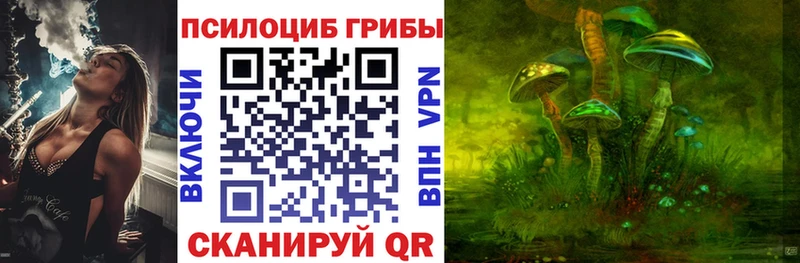 где найти Кувшиново Галлюциногенные грибы мицелий